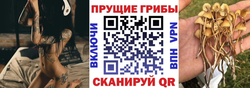 Псилоцибиновые грибы Magic Shrooms  hydra рабочий сайт  Усть-Катав  что такое наркотик 